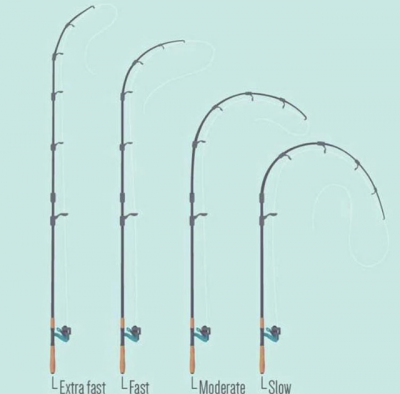 Quais os tipos de vara de pesca adequados para a prática? - Garrapeixe